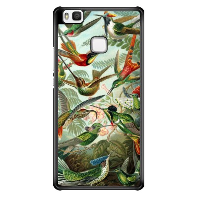 huawei-ascend-p9-lite - Haeckel Trochilidae
