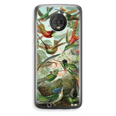 coque-transparente-motorola-moto-g6-plus - Haeckel Trochilidae