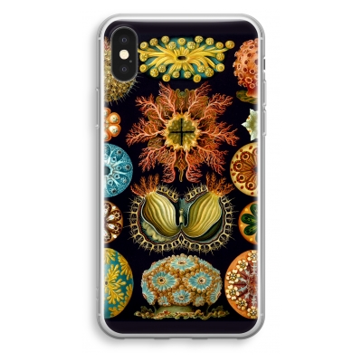 iphone-xs-transparant-case - Haeckel Ascidiae