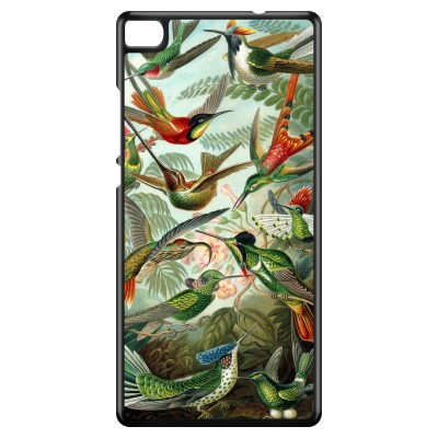 huawei-ascend-p8-cover - Haeckel Trochilidae