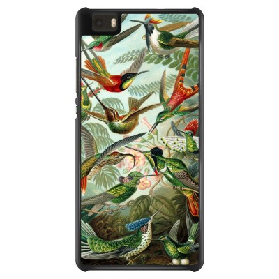 huawei-ascend-p8-lite-case - Haeckel Trochilidae