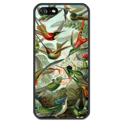 coque-iphone-5-5s-silicone - Haeckel Trochilidae