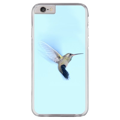 Kolibri