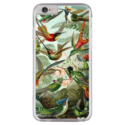 iphone-6-6s-case - Haeckel Trochilidae