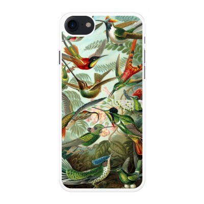 iphone-7-telefoonhoesje - Haeckel Trochilidae