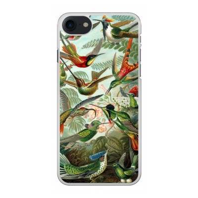 iphone-8-hard-case - Haeckel Trochilidae